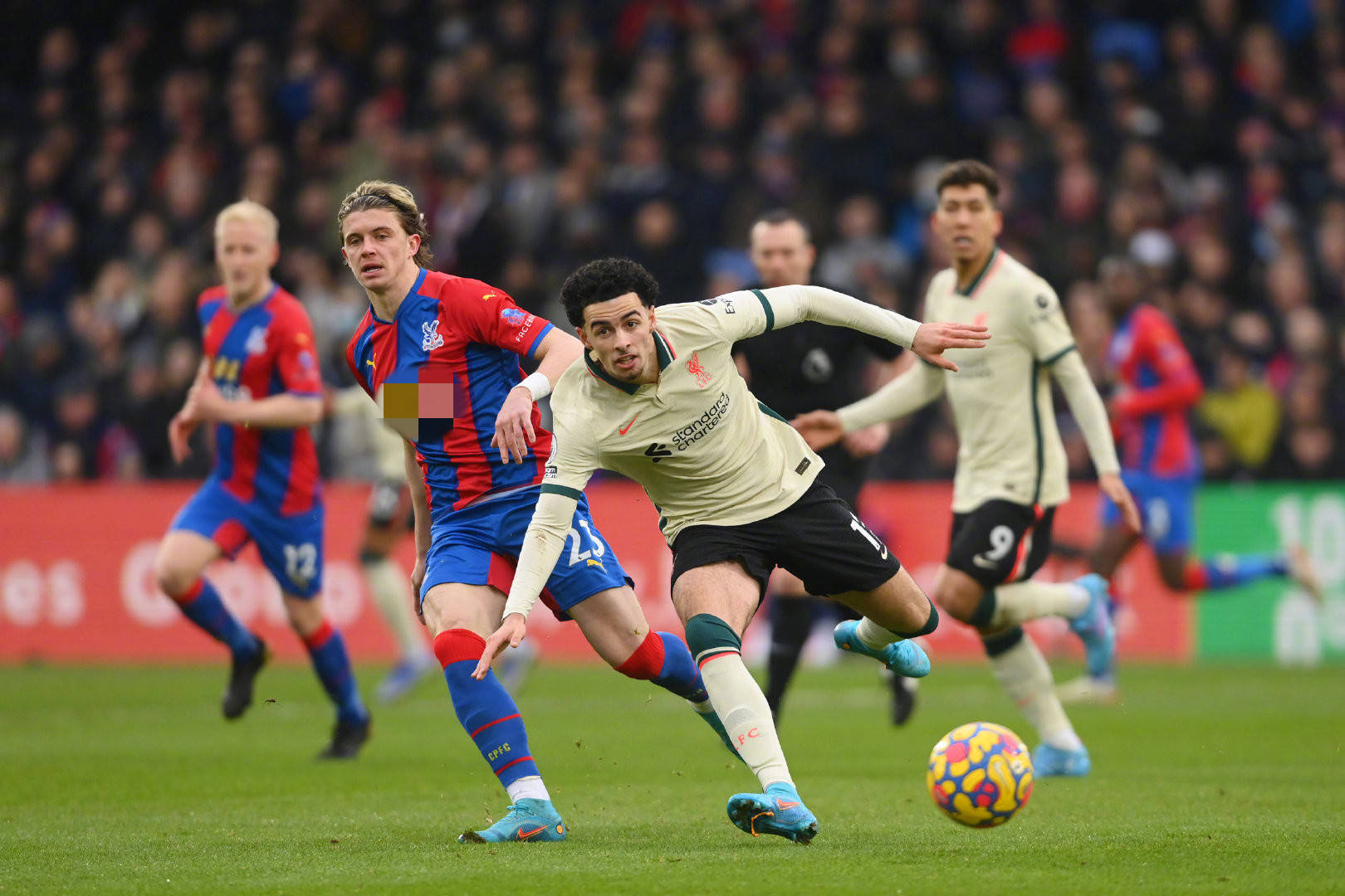 在关系中的 在关系中的